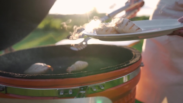 VideoHive Housewife Takes Hot Calamaries From the Grill and Put Them To the Plate Hot Sea Food Grill and 20314790 VideoHive Housewife Takes Hot Calamaries From the Grill and Put Them To the Plate Hot Sea Food Grill and 20314790