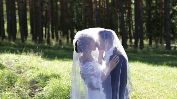 Newlyweds Embrace Under Brides Veil