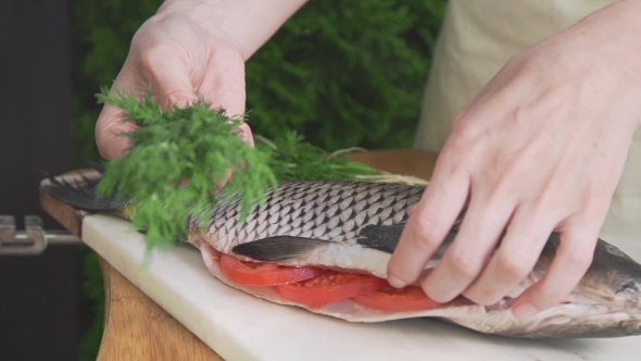 VideoHive Housewife Is Stuffing Raw Fish with Fennel Carp Fish on the Board Cooking Fish Meals Outdoors 20320872 VideoHive Housewife Is Stuffing Raw Fish with Fennel Carp Fish on the Board Cooking Fish Meals Outdoors 20320872