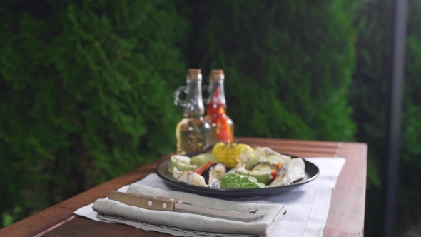 VideoHive Grilled Vegetables with Fish and Pesto Sauce Are Served on the Table Outdoors Grill and Barbecue 20320910 VideoHive Grilled Vegetables with Fish and Pesto Sauce Are Served on the Table Outdoors Grill and Barbecue 20320910