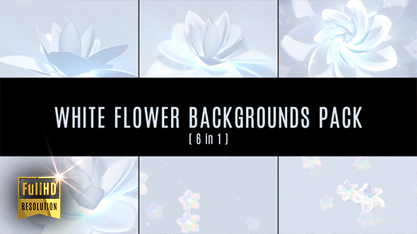 White Flower Backgrounds Pack (6 in 1)