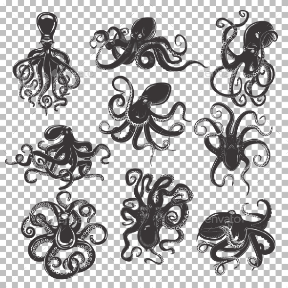 Set of Isolated Octopus Mascot or Tattoos - Animals Characters