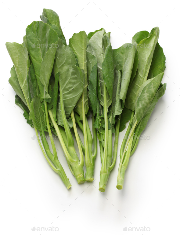 chinese kale, chinese broccoli Stock Photo by motghnit PhotoDune