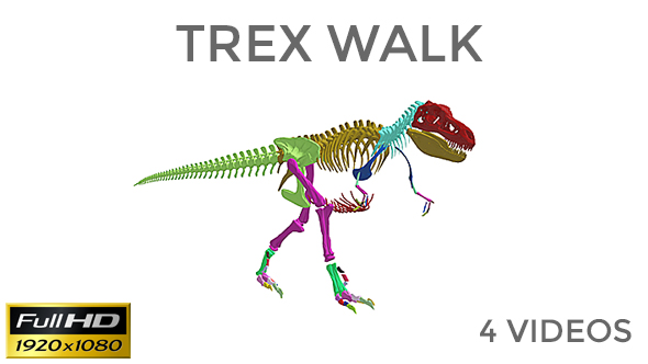 Trex Skeleton Loop Walk Pack alt