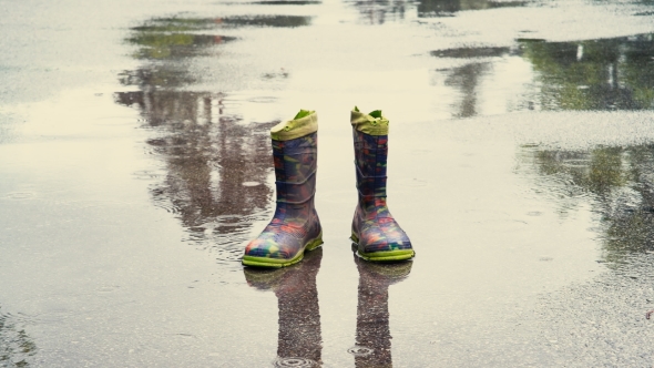 Wellington Boots Standing Amongst Rain Puddles