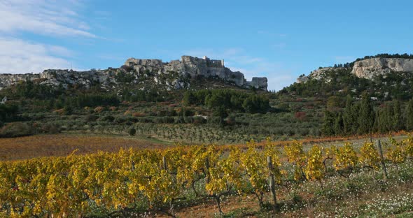 Vineyards, Les Baux de Provence, France alt
