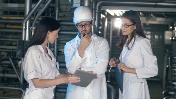 Team of Inspectors Working at the Oil Factory alt