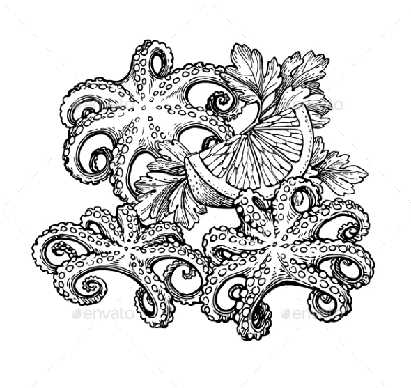 Octopus Ink Sketch. - Food Objects