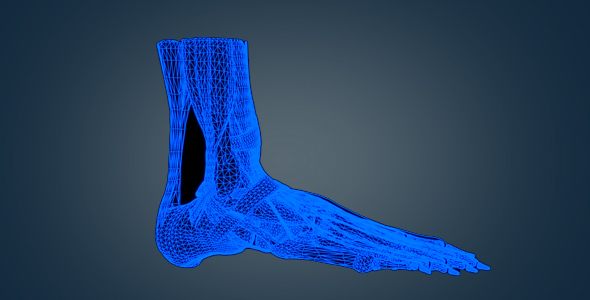 Digital Human Organ Artificial Intelligence alt