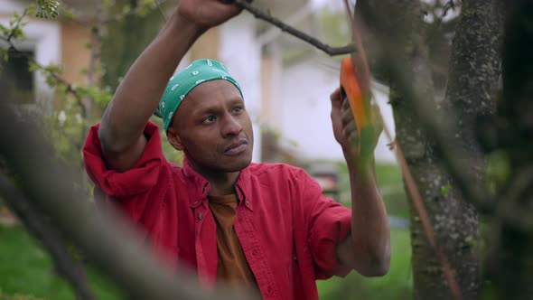 Portrait of Confident Young Man Cutting Overgrown Tree Branch in Garden with Saw alt