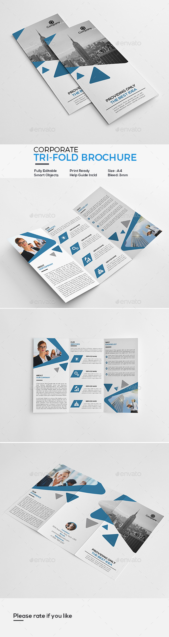 Corporate Tri-Fold Brochure - Corporate Brochures