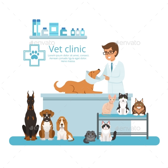 Animals in of Vet Hospital. Vector by ONYXprj GraphicRiver