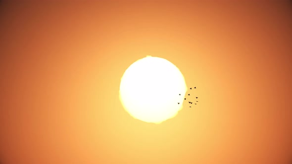 Flock of birds flying front of sun is heat effect in summer.