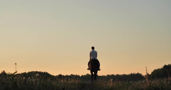 The Rider Drives Off Into the Distance Along a Country Road