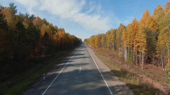 FPV drone high-speed flight along the road and autumn forest in Ural