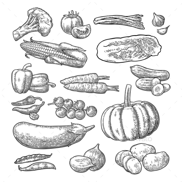 Set of Vegetables - Food Objects