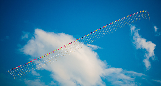 Blue sky flying much more  kites