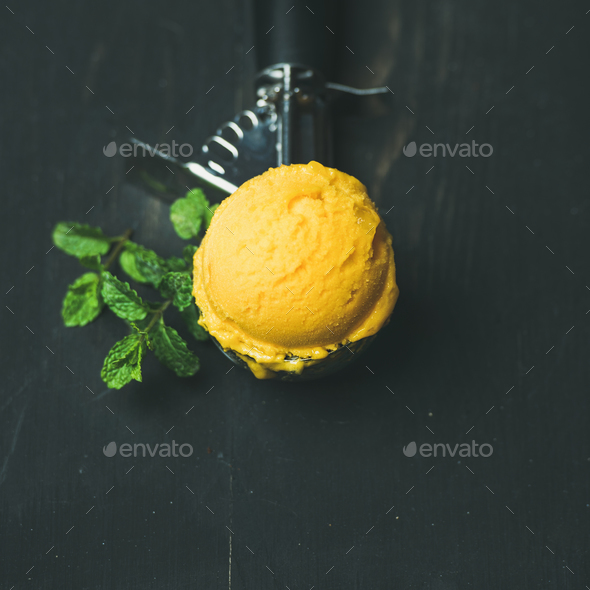 Mango sorbet ice cream scoop in scooper, square crop - Stock Photo - Images