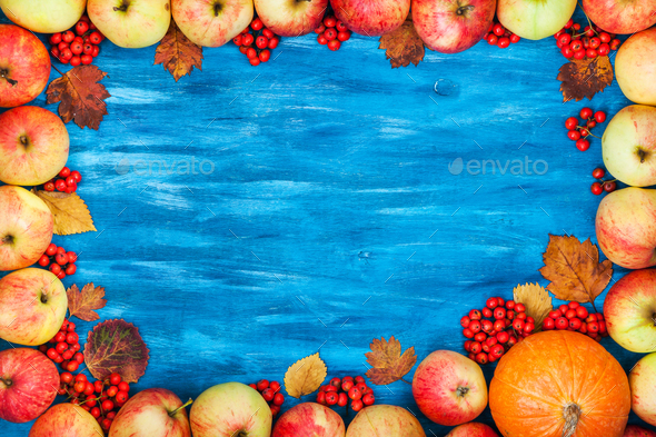 Autumn frame of apples, pumpkin, rowan on painted blue wooden b