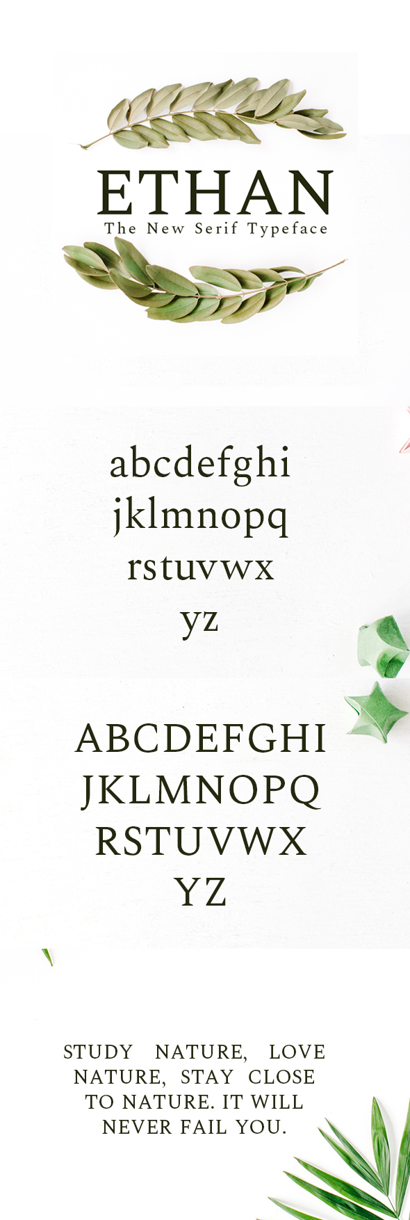 Ethan Serif 8 Font Family Pack - Serif Fonts