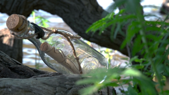 Message in a Bottle on the Seashore alt