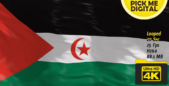 Sahrawi Arab Democratic Republic Flag 4K alt
