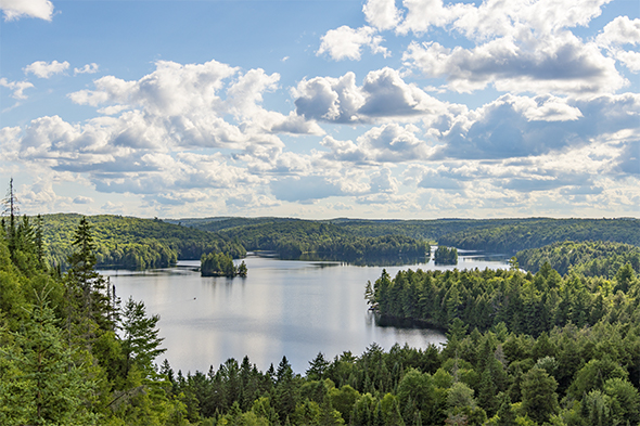 Algonquin Provincial Park, Canada | Daytime in the Park