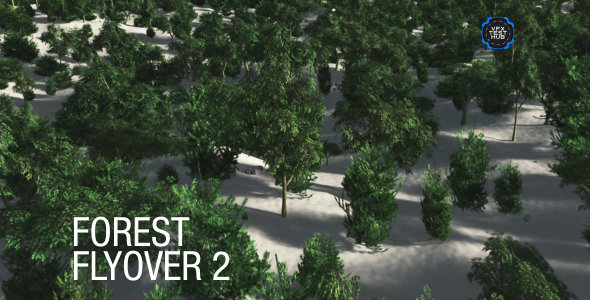 Forest Flyover 2