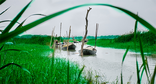 Landscape with nature