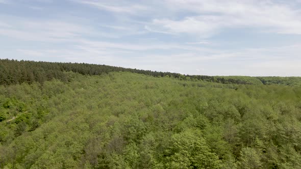 Forest Ecosystem in Beautiful Nature Countryside in Ukraine Mountains, Aerial alt