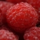 Ripe Juicy Raspberry Rotates - VideoHive Item for Sale