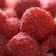 Ripe Juicy Raspberry Rotates - VideoHive Item for Sale