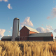 Wheat Field and Farm - VideoHive Item for Sale