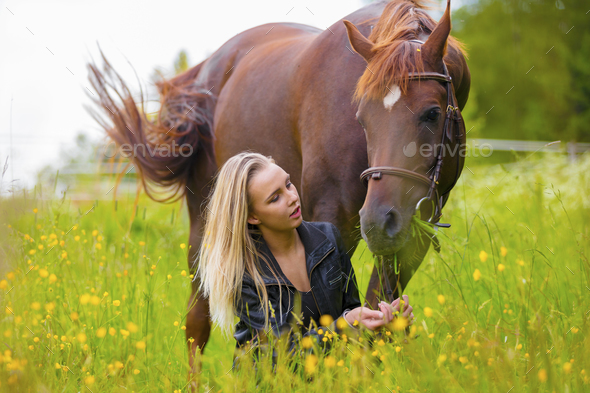 Beautiful woman feeding her arabian horse with snacks in the field - Stock Photo - Images