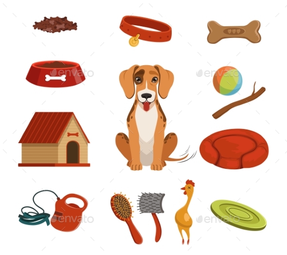 Different Accessories for Domestic Pet