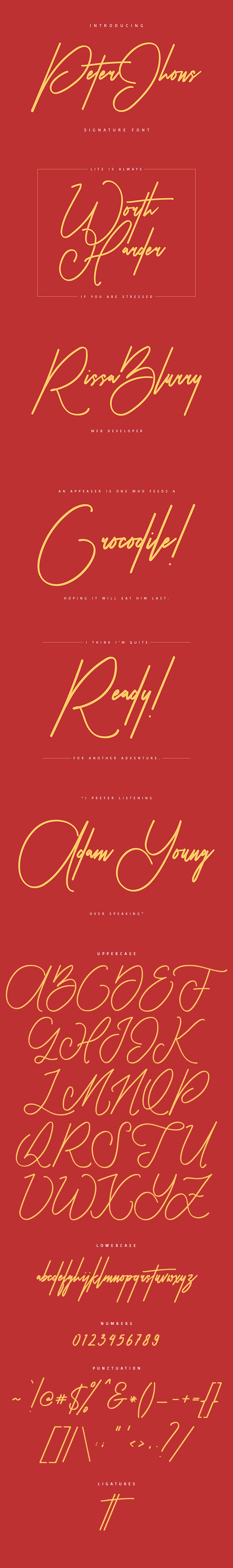 Peter Jhons Signature Font - Calligraphy Script