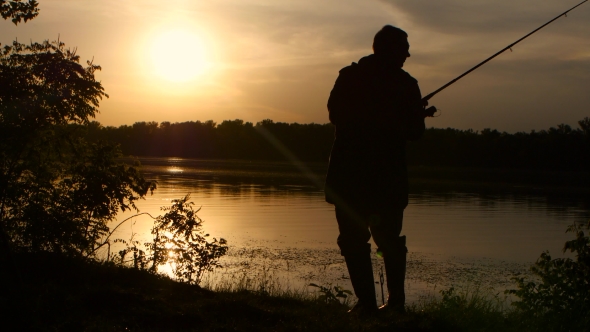 Fisherman Catches Fish on a Fishing Rod Sunset Beautifully Wraps His ...