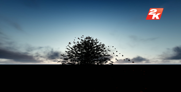 Tree and Spilled Leaves