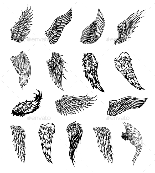 GraphicRiver Wings Graphic Illustration 20397604 GraphicRiver Wings Graphic Illustration 20397604