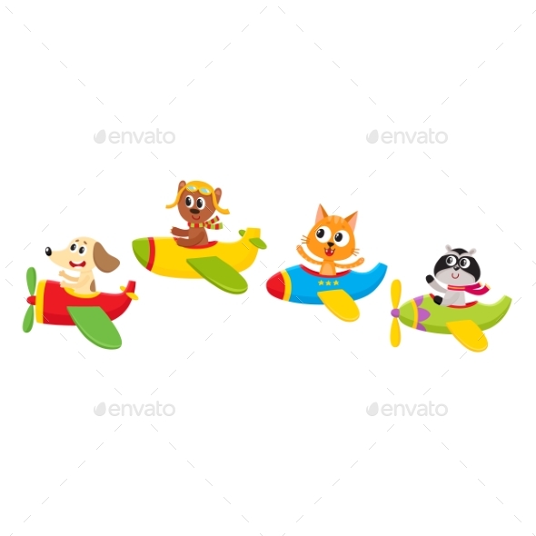 Baby Animal, Pet Characters Flying