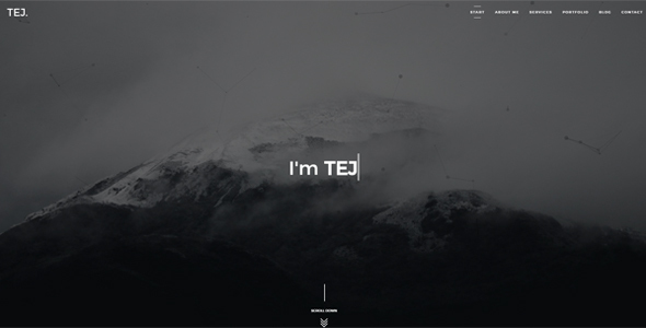 ThemeForest TEJ Personal Portfolio Template 19933005 ThemeForest TEJ Personal Portfolio Template 19933005