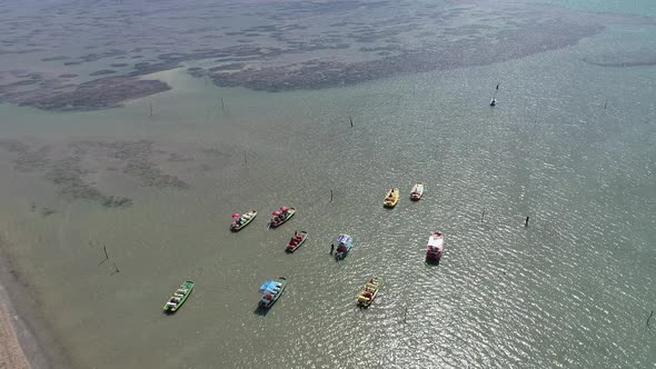 Brazilian Northeast beach landmark. Tropical summer beach. alt