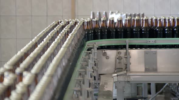 Bottling Line in Beer Factory, Bottles Are Moving Over Transporting Belt