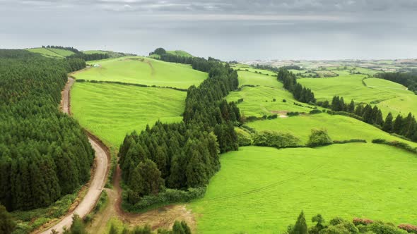 Fam Fields Growing on Evergreen Sao Miguel Island at Cloudy Day Azores alt