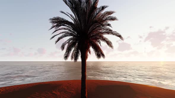  Palm Tree On Island