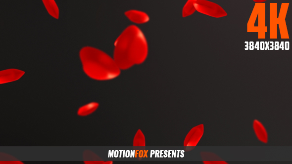 Floating Hearts 4K