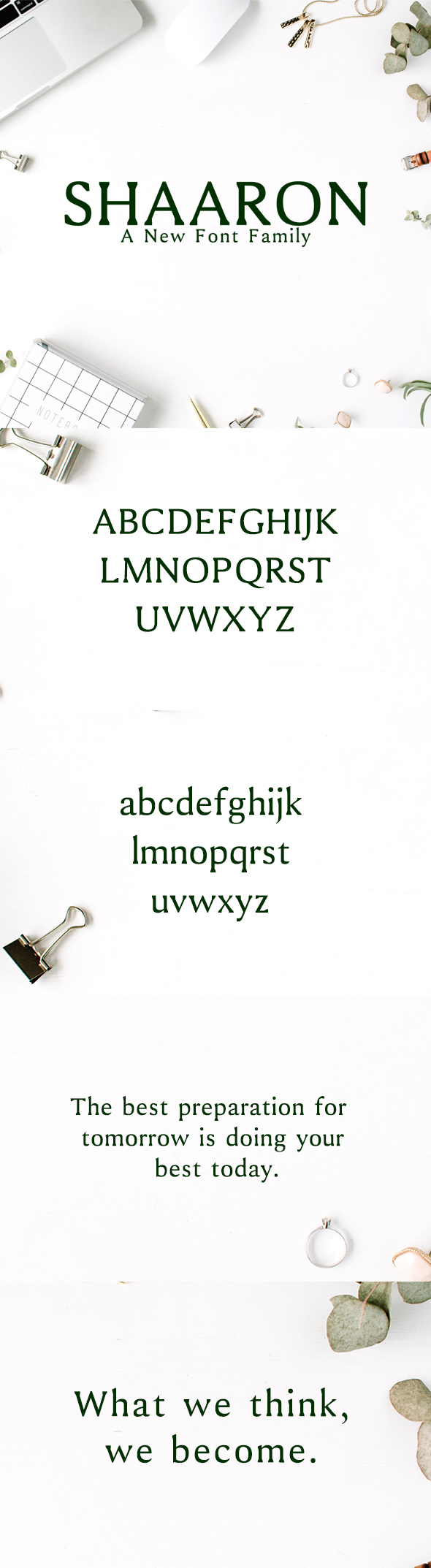 Shaaron A New Serif Font Family - Serif Fonts