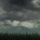 Grass And Alpha Sky - VideoHive Item for Sale