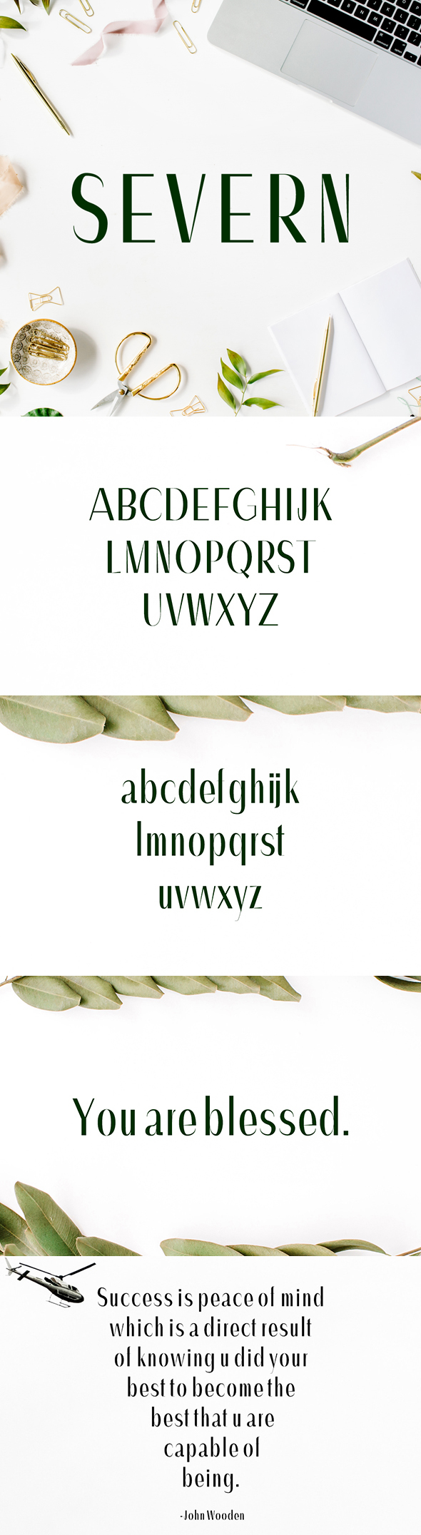 Severn Sans Serif Font Family - Sans-Serif Fonts
