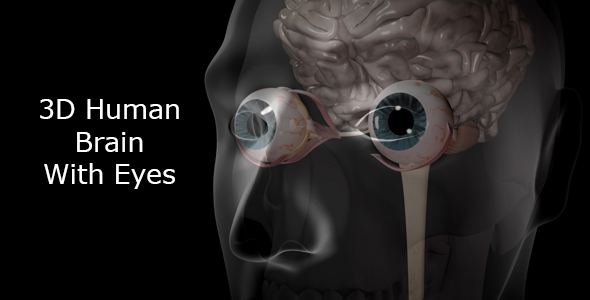 Brain eyes. Операция на мозг через глаз. Motion Eye.